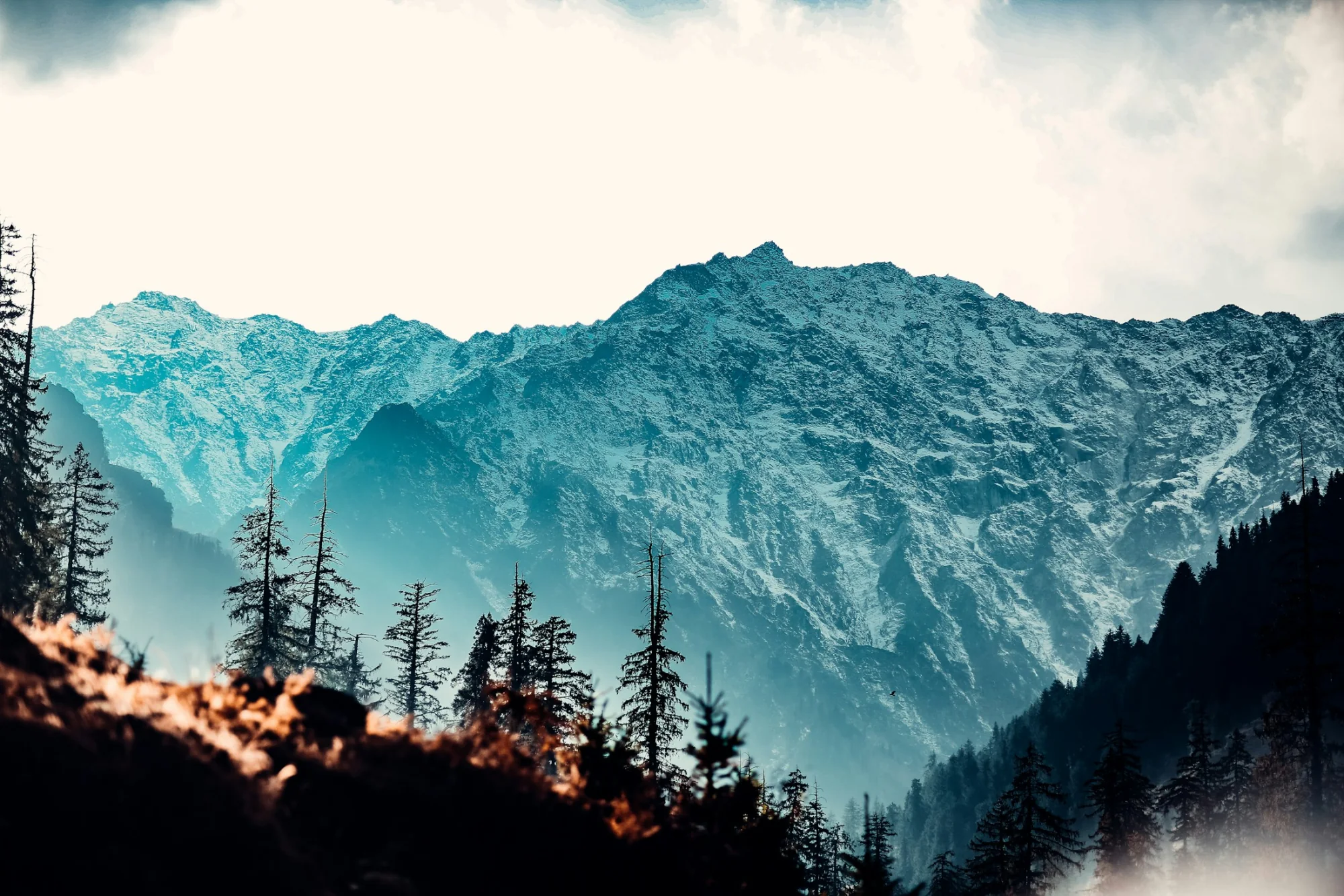 Himachal